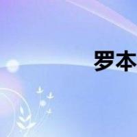 罗本区域视频（罗本区域）