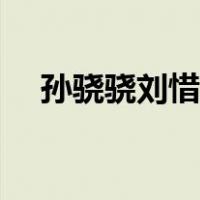 孙骁骁刘惜君湖南卫视（孙骁骁刘惜君）