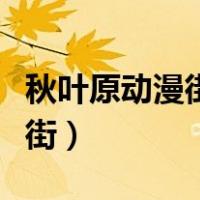 秋叶原动漫街购物攻略（日本秋叶原动漫一条街）