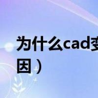 为什么cad变得特别卡（cad特别卡是什么原因）