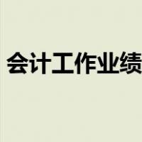 会计工作业绩有哪些（会计工作业绩怎么写）