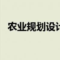 农业规划设计（关于农业规划设计的介绍）