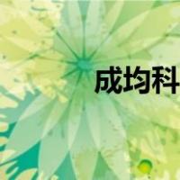 成均科技心理测评（成均科技）