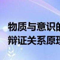 物质与意识的辩证关系原理题（物质与意识的辩证关系原理）