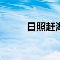 日照赶海园潮汐表（日照赶集网）