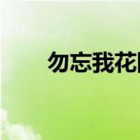 勿忘我花图片 头像（勿忘我花图片）
