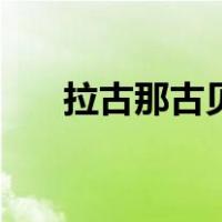 拉古那古贝（关于拉古那古贝的介绍）