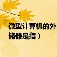 微型计算机的外(辅助)存储器是指（微型计算机的外(辅)存储器是指）