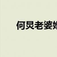 何炅老婆婚纱照（王菁何炅的婚纱照）