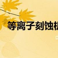 等离子刻蚀机（关于等离子刻蚀机的介绍）
