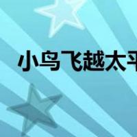 小鸟飞越太平洋的启示（小鸟飞越太平洋）