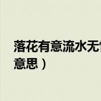 落花有意流水无情是什么意思?（落花有意 流水无情是什么意思）