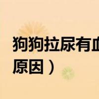 狗狗拉尿有血怎么回事（狗狗拉尿出血是什么原因）