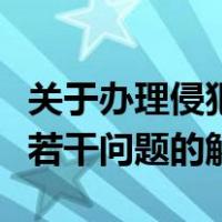 关于办理侵犯知识产权刑事案件具体应用法律若干问题的解释