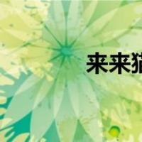来来猫（关于来来猫的介绍）