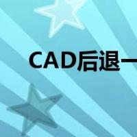 CAD后退一步快捷键（cad后退快捷键）