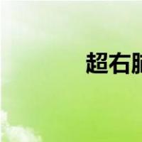 超右脑（关于超右脑的介绍）