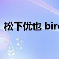 松下优也 bird（关于松下优也 bird的介绍）