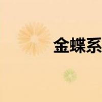 金蝶系统操作流程（金蝶系统）