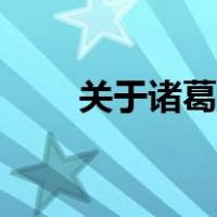 关于诸葛瞻的故事（诸葛瞻的故事）