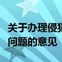 关于办理侵犯知识产权刑事案件适用法律若干问题的意见