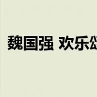 魏国强 欢乐颂（关于魏国强 欢乐颂的介绍）
