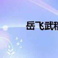 岳飞武穆王（岳飞为何叫岳武穆）