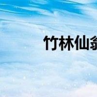 竹林仙翁（关于竹林仙翁的介绍）