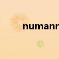 numanni（关于numanni的介绍）