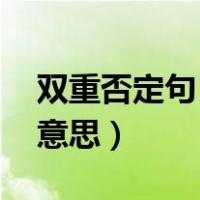 双重否定句 是什么意思（双重否定句是什么意思）