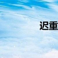 迟重瑞武汉捐款（迟重瑞）