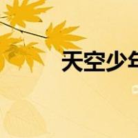天空少年（关于天空少年的介绍）