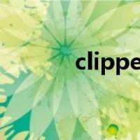clippers中文意思（clippers）
