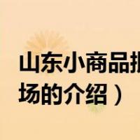 山东小商品批发市场（关于山东小商品批发市场的介绍）