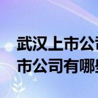 武汉上市公司有哪些是生产汽车的?（武汉上市公司有哪些）