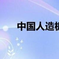 中国人造板（关于中国人造板的介绍）