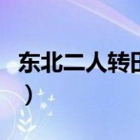 东北二人转田娃（关于东北二人转田娃的介绍）