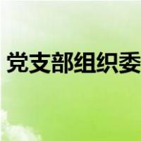党支部组织委员述职报告（党支部组织委员）