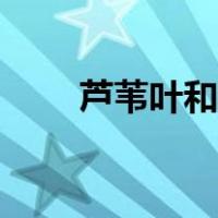 芦苇叶和粽叶有什么区别（芦苇叶）