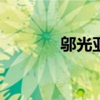 邬光亚（关于邬光亚的介绍）