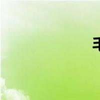 毛利小五郎（毛利）