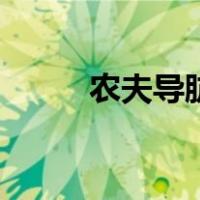 农夫导肮（关于农夫导肮的介绍）