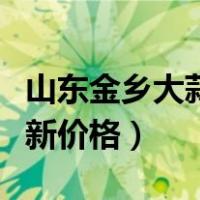 山东金乡大蒜价格今日价格（山东金乡大蒜最新价格）