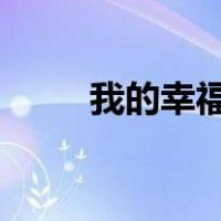 我的幸福人生0.2安卓（我的幸福）