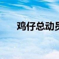 鸡仔总动员（关于鸡仔总动员的介绍）