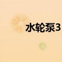水轮泵3D工作原理视频（水轮泵）