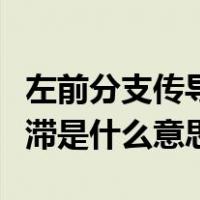 左前分支传导阻滞什么意思（左前分支传导阻滞是什么意思）