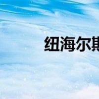 纽海尔斯（关于纽海尔斯的介绍）