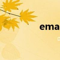 email address翻译成中文