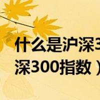 什么是沪深300指数包含哪些股票（什么是沪深300指数）